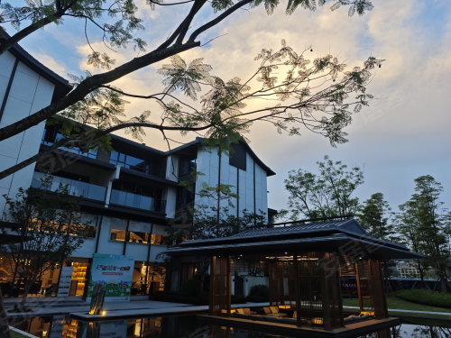 咫尺乾坤：邂逅苏州园林的“诗与远方”