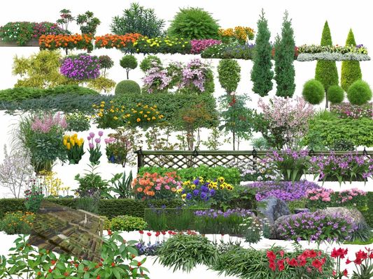 成都市公园城市园林绿化管护中心行道树景观品质提升及重要节点绿化改造项目中标（成交）结果公告